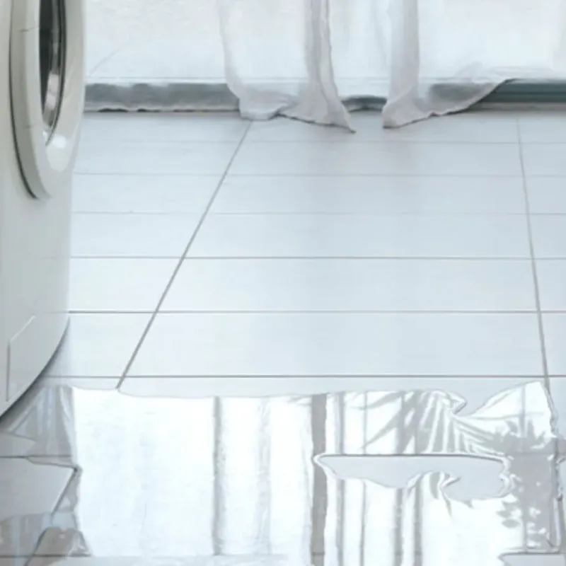 Appliance Leak Cleanup in Alma, GA