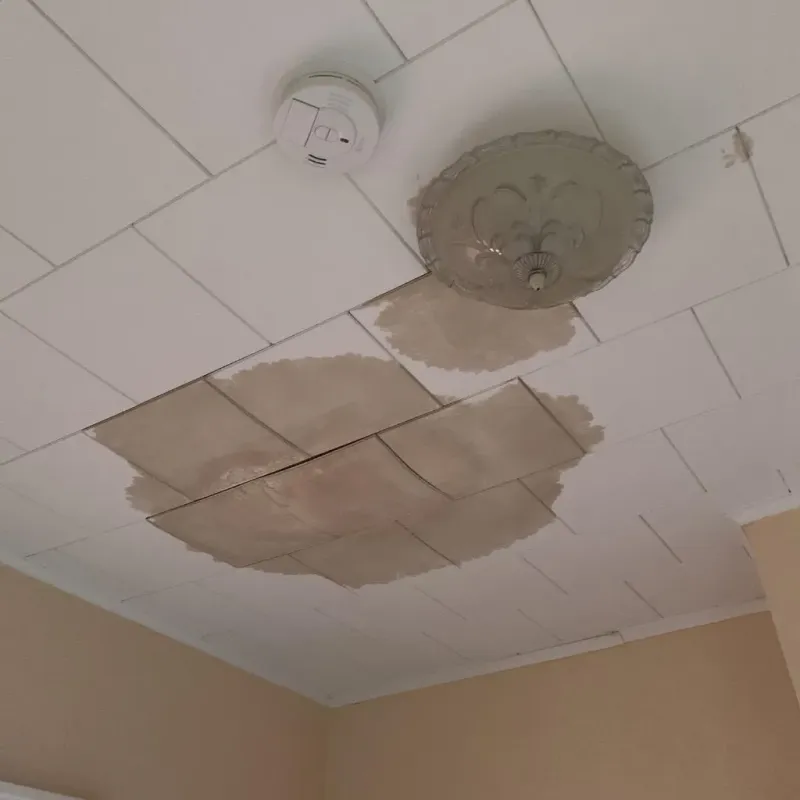 Ceiling Water Damage Repair in Alma, GA
