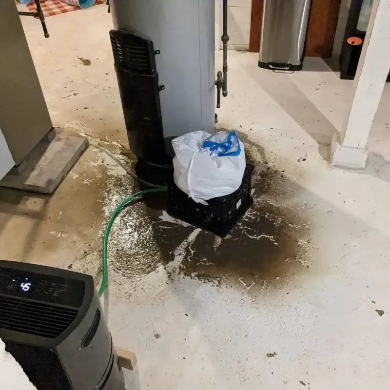 Sewage Backup Cleanup Service in Alma, GA